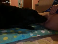 A curious adolescent of legal age fucking herself with an item while reveling in the joys of beastiality